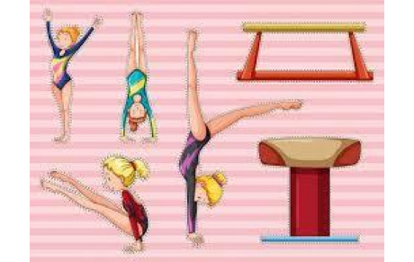 Découverte poussine